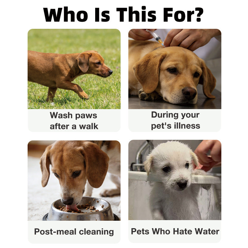 Disposable Pet Cleaning Gloves