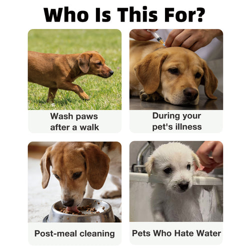 Disposable Pet Cleaning Gloves